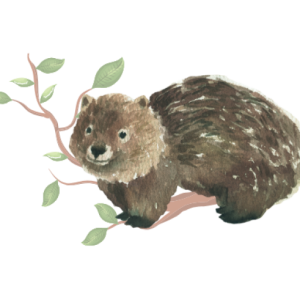 A graphic of a wombat sitting on a branch with leaves.