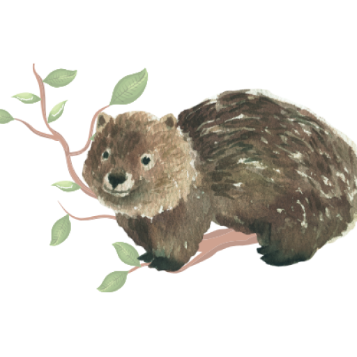 A graphic of a wombat sitting on a branch with leaves.