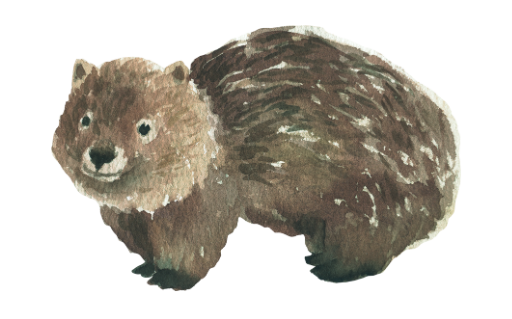 A watercolor graphic of a wombat.