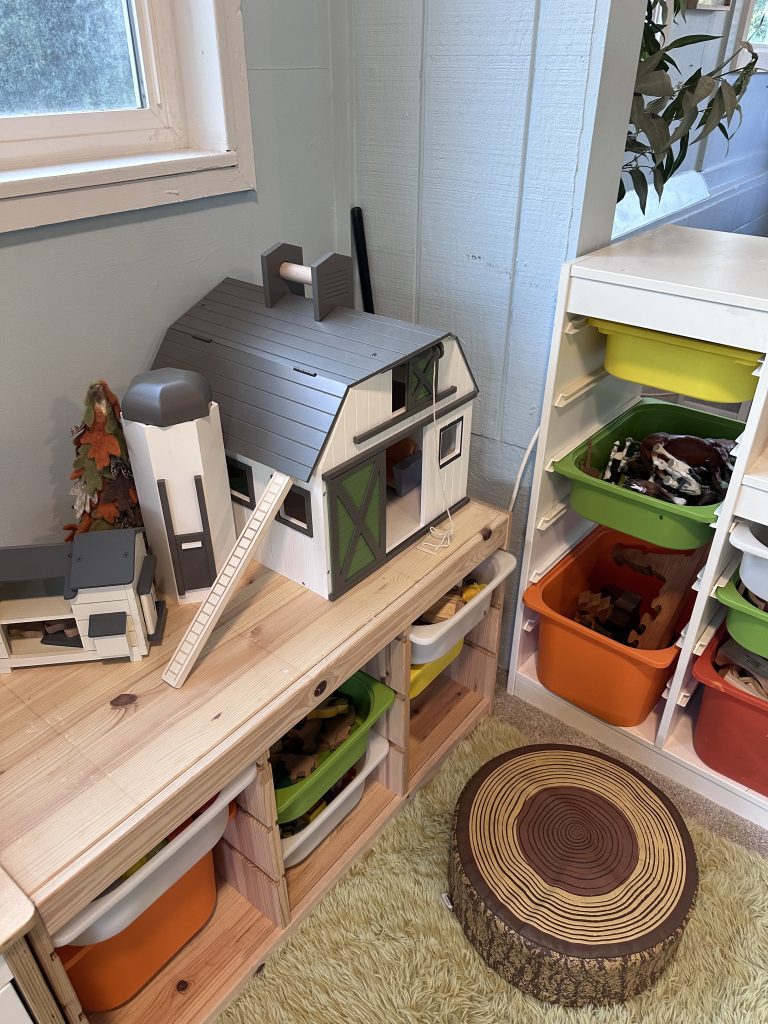 A collection of Montessori-style toys on shelves.