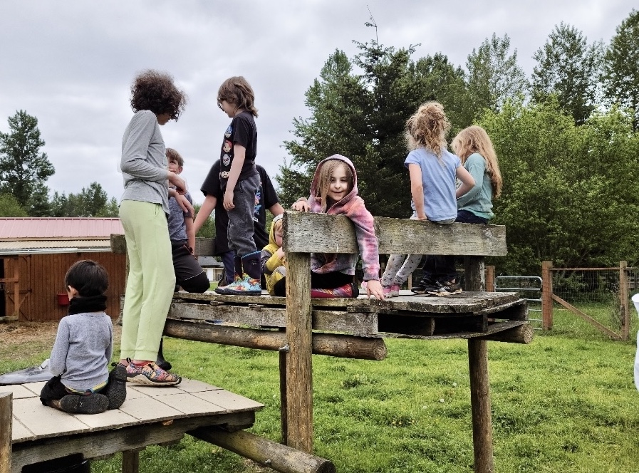 A group of young children standing on a wood structure in a patch of grass on a cloudy day.