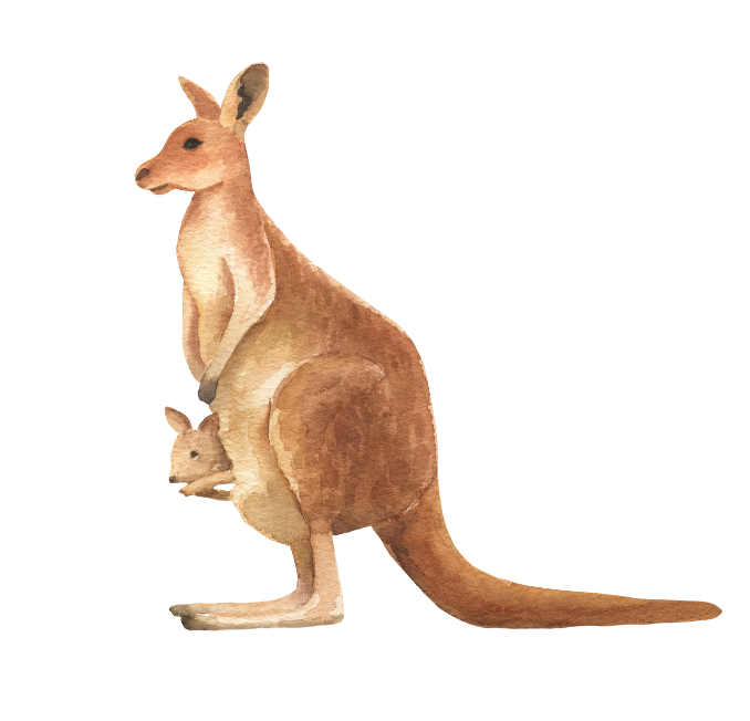 A watercolor painting of a kangaroo with a joey in its pouch.