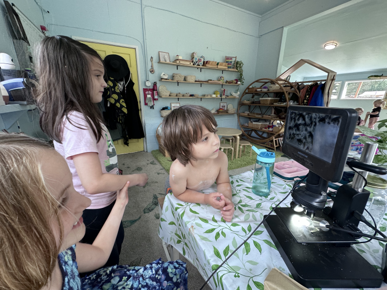 Young children in a classroom looking at a project.